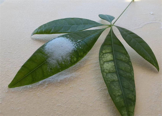 Goede prijs. Vaste acrylhars met hoge hechting, oplosbaar in alcoholen voor inkt online